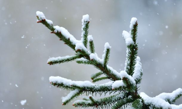 COLD! Boca Raton Temps To Drop Into The 40s Within Days