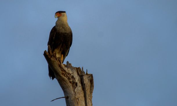 Three Dead And Deputy Seriously Injured In Wednesday Night PBC Violence 7 Florida Turnpike Remains Closed In Broward County After Multi-Car Crash Involving Cops