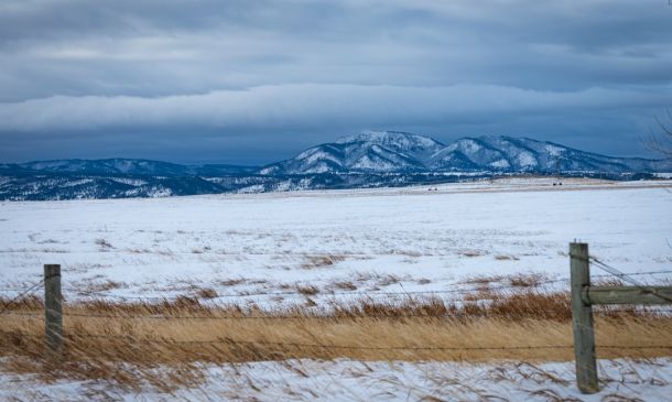 Marlins to Celebrate Boca Raton in September; Mayor to Throw Out First Pitch 2 Marlins to Celebrate Boca Raton in September; Mayor to Throw Out First Pitch