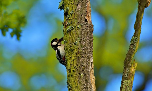 Florida Turnpike Shut In Broward County After Crash 5 Major Broadway, Jewish Event Moves To New Broward Location Sunday