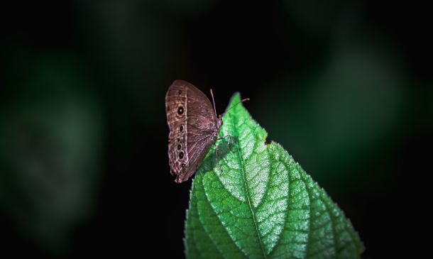 COOL AIR COMING: Winter Hits South Florida, Kind Of