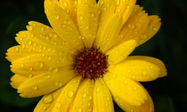 Boca Raton Retail Employee Stole $11K in Return Scam, Police Allege 3 After ‘Public’ Gym Added to Housing Development to Fulfill Requirement, Boca Officials Consider Changes