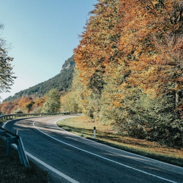 Here’s What To Know About Trash Collection On President’s Day