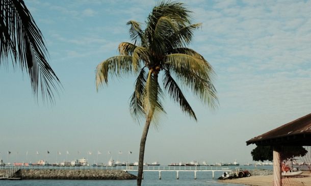 Boca Raton Volleyball: Thrilling Action in Photos