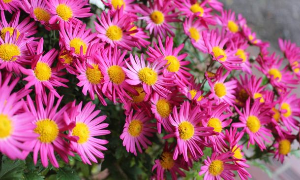 Hundreds Of Flight Cancellations Ground South Florida