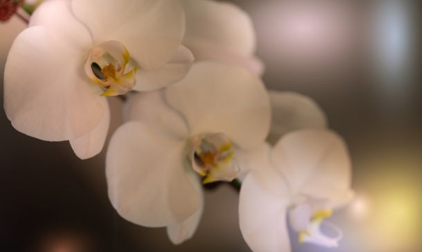 Boca Raton Retail Employee Stole $11K in Return Scam, Police Allege