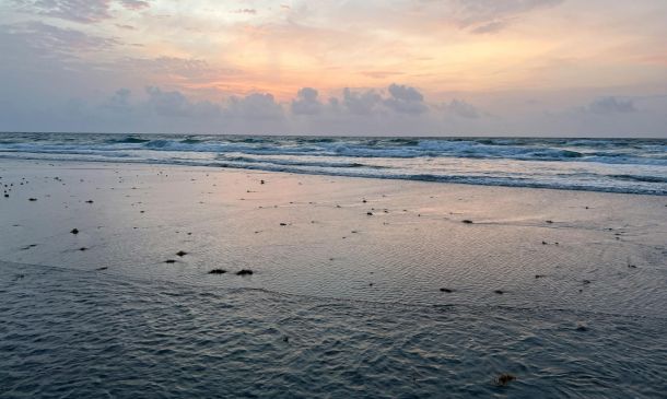 Only 1 Floridian Left On ‘Survivor 50.’ See Who Was Voted Off Last Week 3 experts hint at seaweed explosion for florida beaches this summer 10 5c78a3d4 Only 1 Floridian Left On ‘Survivor 50.’ See Who Was Voted Off Last Week