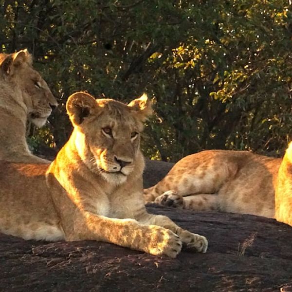 Home 14 RARE: Morton’s Steak House In Boca Raton Cited By Health Inspector