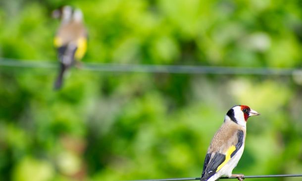 Popular South Florida Cars, Including BMW X3, Recalled 2 Popular South Florida Cars, Including BMW X3, Recalled