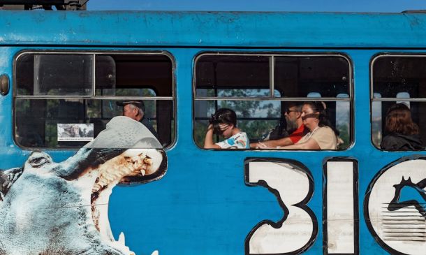 Boca Bash 2025: Glamour, Giving, & Great Times 4 Boca Raton: Trolley Tours Thrive in Tourist Paradise