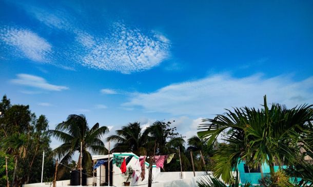 Boca Raton Volleyball: Intensity in Every Shot 2 Boca Raton Volleyball: Intensity in Every Shot