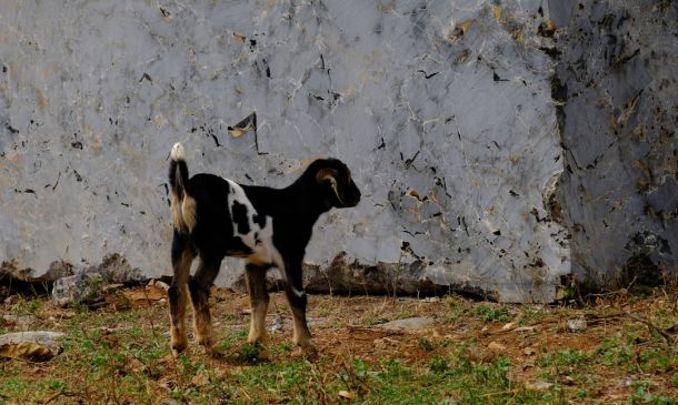 Boca Raton Woman Charged With DUI, Driving on Wrong Side of Dixie Highway