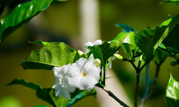 Delray Woman With Crystal Meth, Stolen Clothes, Ice Cream Nabbed At Target