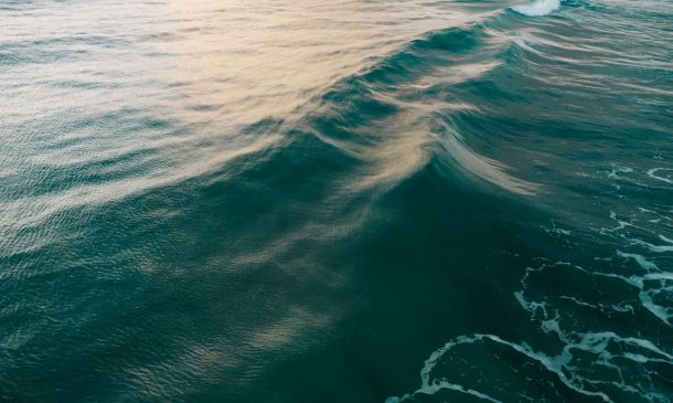 Palm Beach County Is One Of Healthiest Employers In Florida