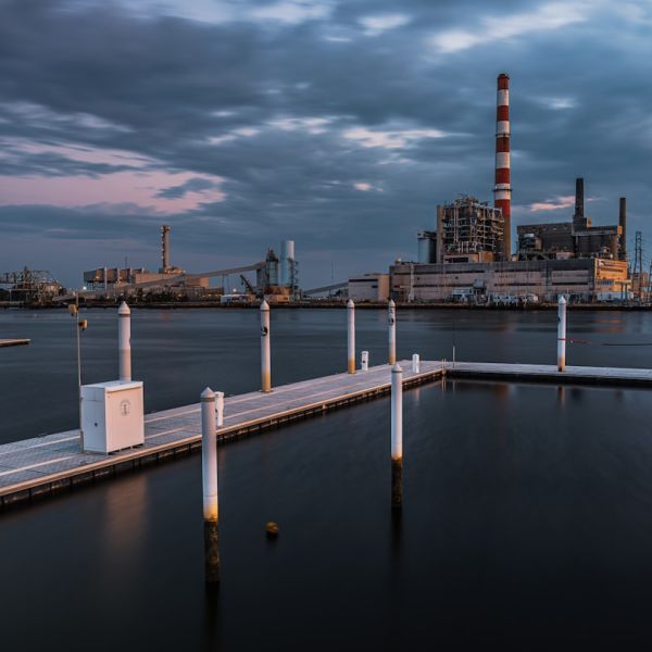 Boca Raton Makes Major Announcement Regarding Dogs On A City Beach