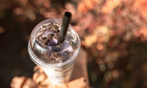 Hand-rolled bagels Boca – Winning Ultimate Long Island Bagels: 7 Must-Try Boca Bites