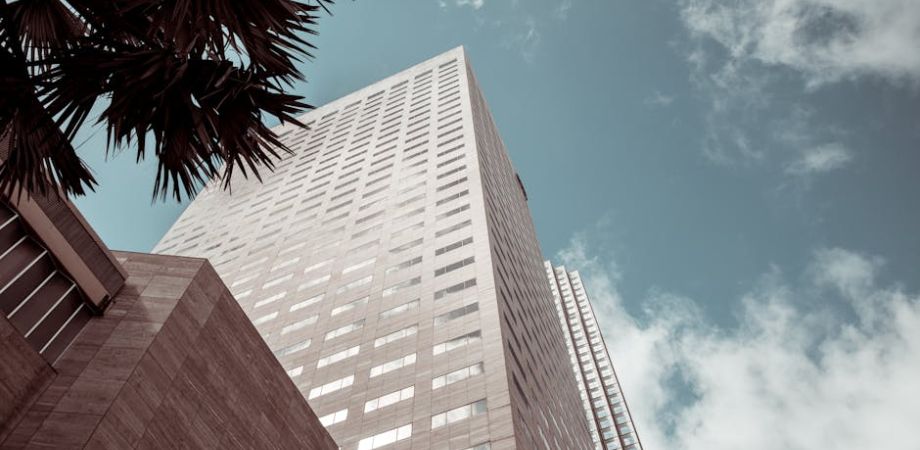 74b04339 Things To Do