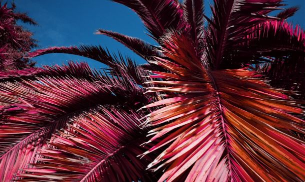 Palm Beach County Breaks Ground on “Affordable” Housing