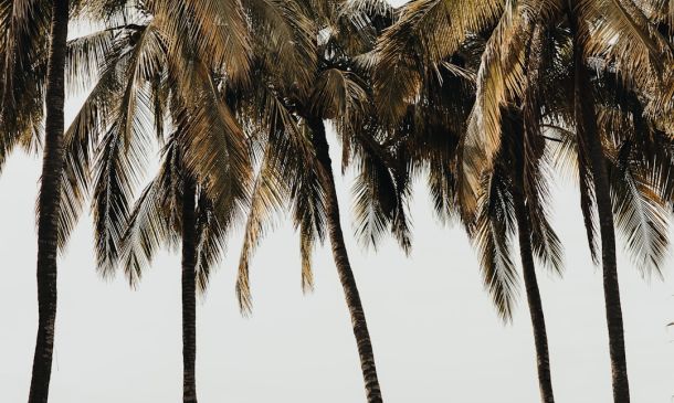 Boca Raton Battles Devastating Floods