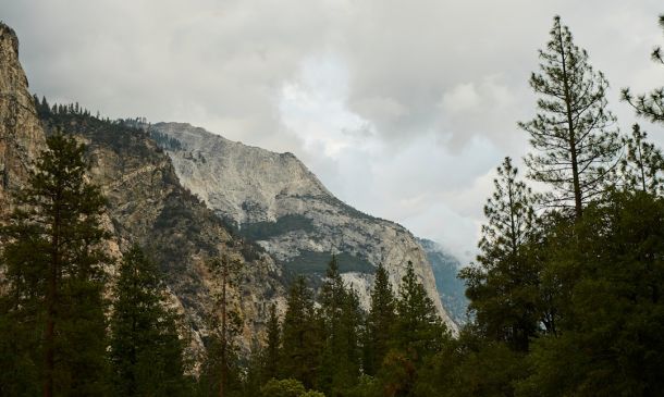 KINGS POINT: Another Arrest Makes It Seven This Year, 91 Since 2023