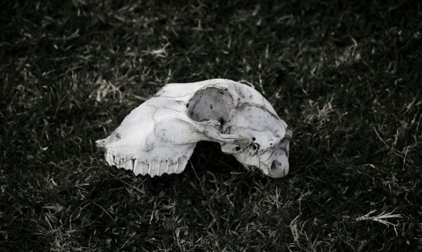 Death Investigation Involving Hazmat Near LA Fitness In Boca Raton