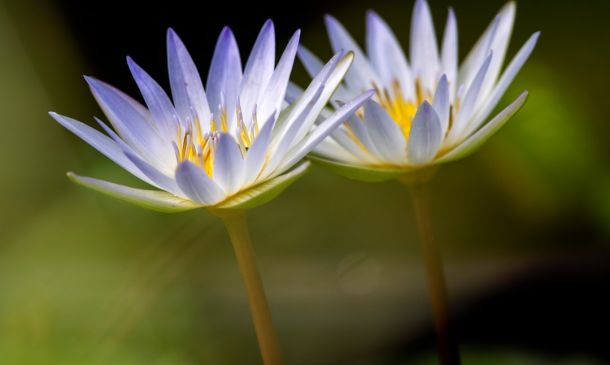 Two Arrested After Altercation at Boca Raton Hotel