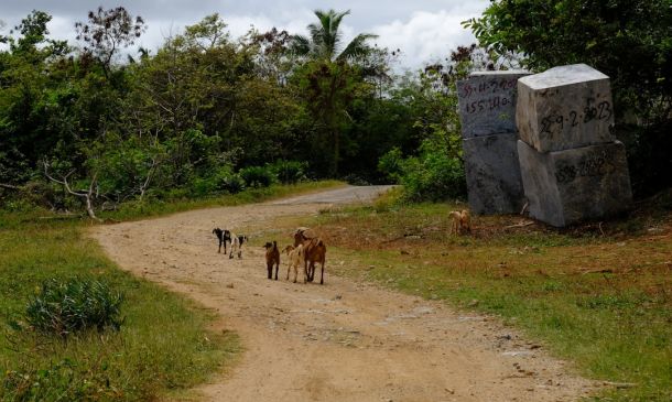 Boca Mom Charged With Letting Son Run Drug Operation From Shed