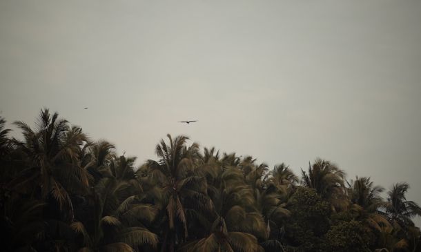 Boca Raton Jet Overshoots Runway: Close Call