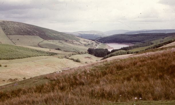 Boynton Beach Man, 21, Dies Following Boating Accident Near Key Largo