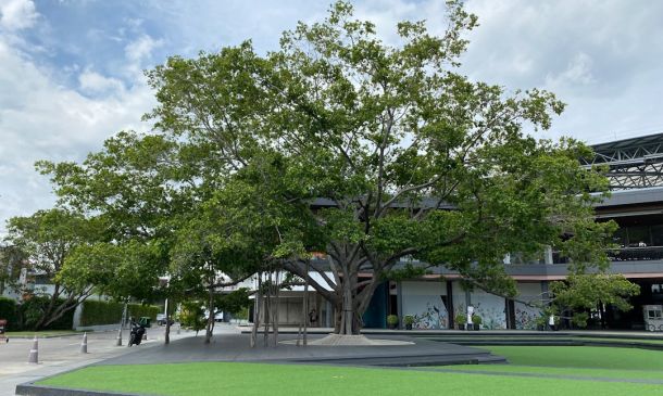 Boca Raton's Future: Have Your Say!