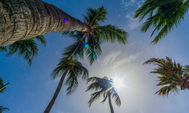 Boca Raton Weather: Sunny Outlook & Seasonal Guide