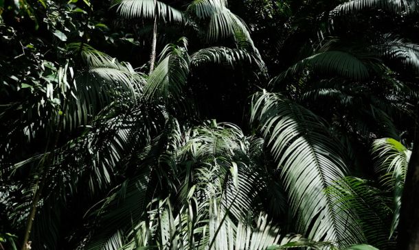 Palm Beach County Again Opens Cold Weather Shelters