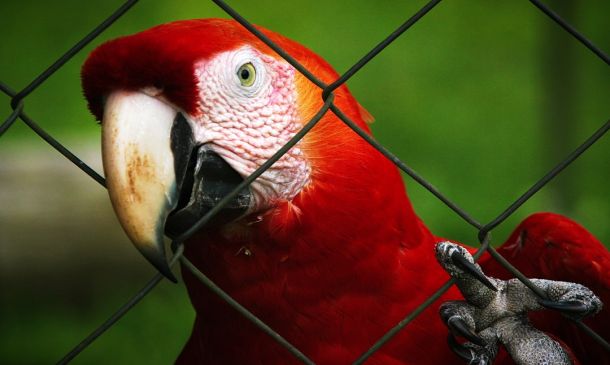 Boca Raton Zoo Gets Life-Saving Donation