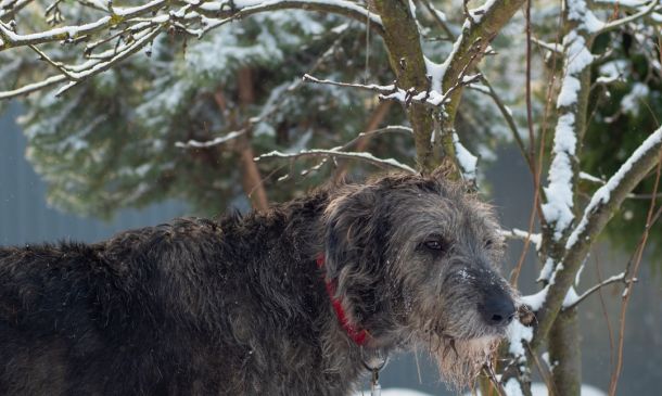 Home 25 Suspect Flees After Critical Crash On Military Trail