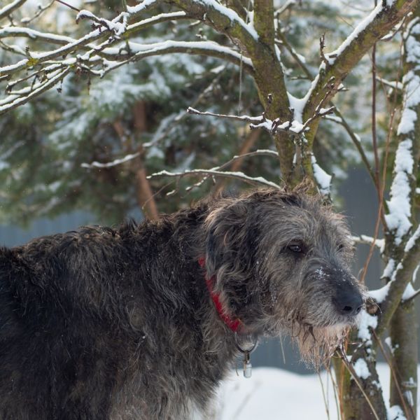 Home 15 Suspect Flees After Critical Crash On Military Trail