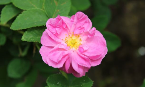 If You’re Looking For Affordable Homes In Palm Beach County, Read This