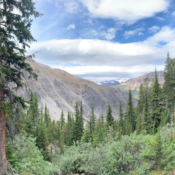 No Invisible Touch For This Genesis In Seven Bridges Delray Beach