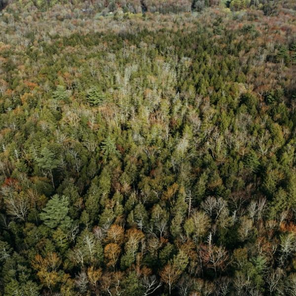 Home 16 Sullivan Fire Leaves Two Dead At Three Unit Apartment