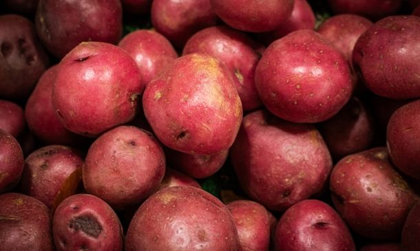 Boca Raton's Newest Grocery: Organic & Accessible