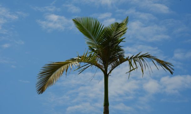 Boca Raton: Storms Likely Today