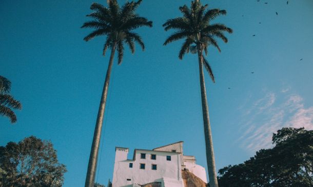 Boca Raton Teen Gathers More Than 1,500 Pounds of Food for Helping Hands 3 Boca Raton Woman Dies Two Months After Illegal Turn Crash