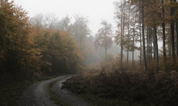 WEATHER: Expect Thunderstorms For Next Several Days