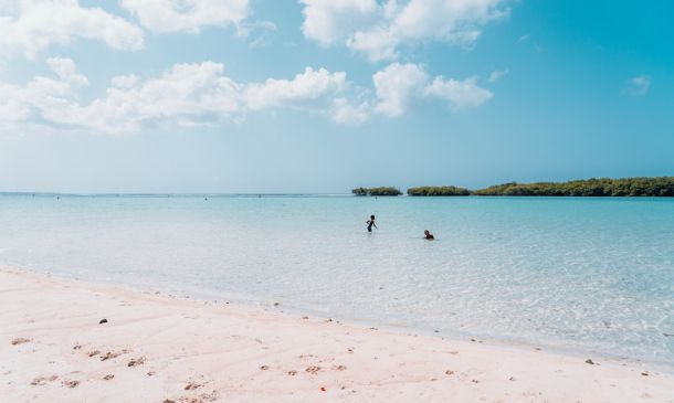 Crash at Boca Raton Shopping Center Entrance Claims Life of Local Man, 83 4 Boca Raton Union Workers Call for Bonuses, Reopening of Contract Talks
