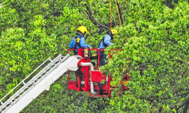 Boca Raton Plane Crash: Eyewitness Describes Inferno