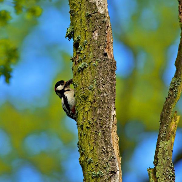 Home 17 Major Broadway, Jewish Event Moves To New Broward Location Sunday