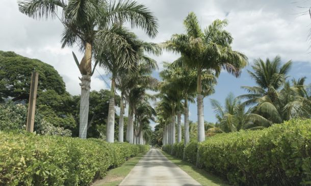 Boca's Great Chefs Tailgate: A Roaring Success! 6 Boca Raton: Luxury, History & Architectural Gems