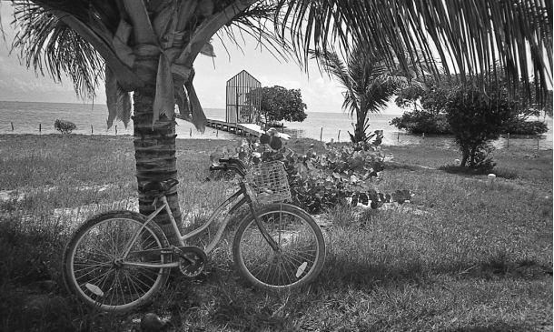 Boca Raton Coach's Unconventional Rise 4 Boca Raton Mourns a Beloved Resident