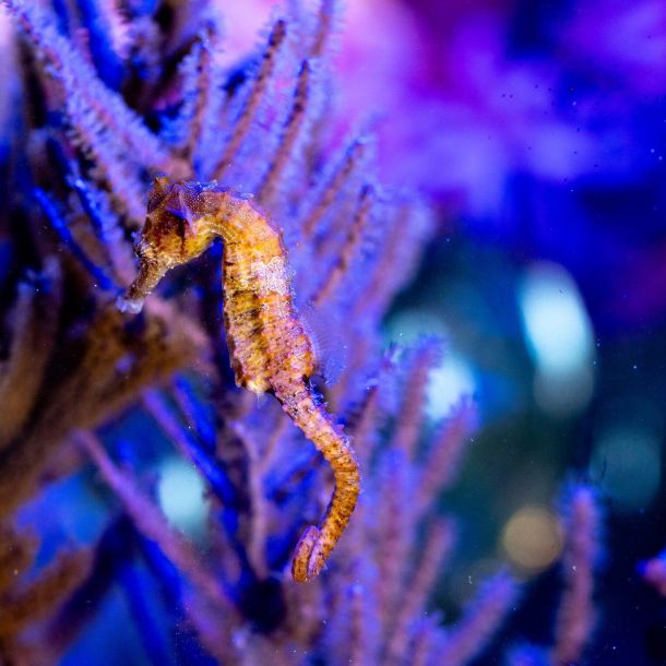 90bd47f0 Things To Do