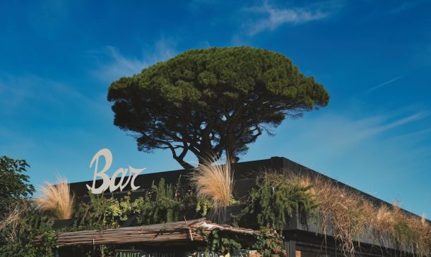 Celsius Expands in Boca Raton