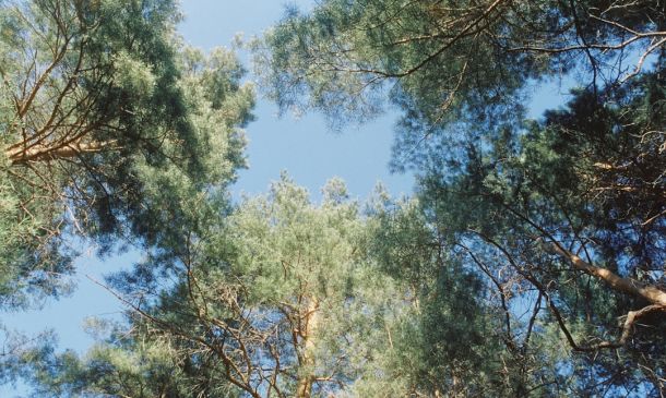 If You Have Breast Cancer, FAU Will Pay You For Exercise Study